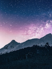Wallpaper 4