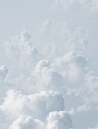 Wallpaper 6